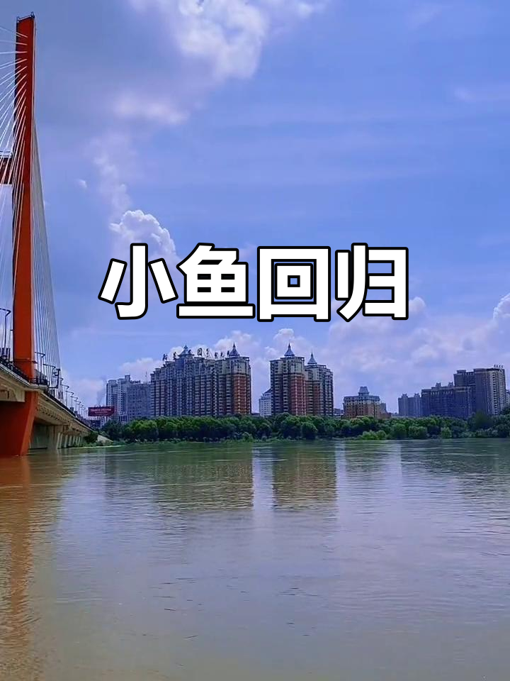 我在吉林市,浑水中的小鱼被送回水中,期待清澈的那天