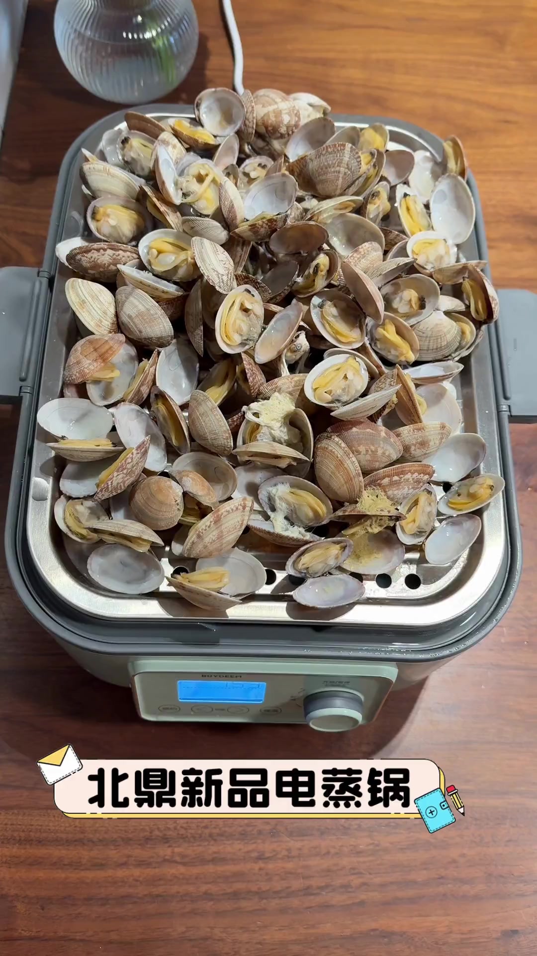 北鼎新品电蒸锅