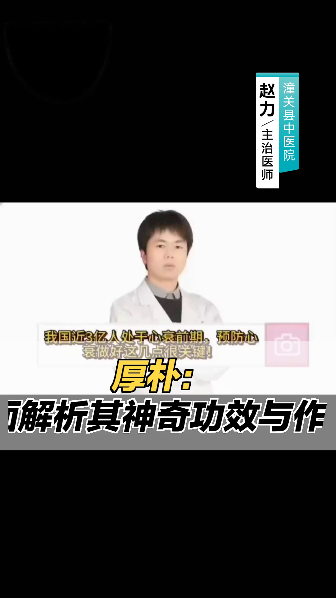 厚朴:全面解析其神奇功效与作用