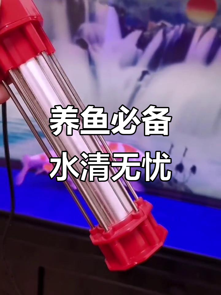 鱼缸水质守护神,外排式分离器与净水器的完美搭配