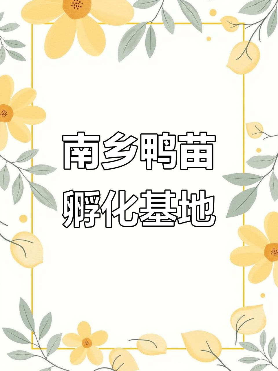 百只绿头公鸭领头上千母麻鸭,共建南乡鸭苗孵化基地