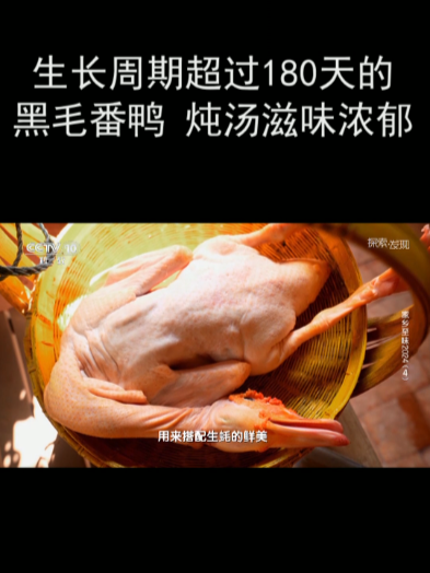生长周期超过180天的黑毛番鸭 炖汤滋味浓郁