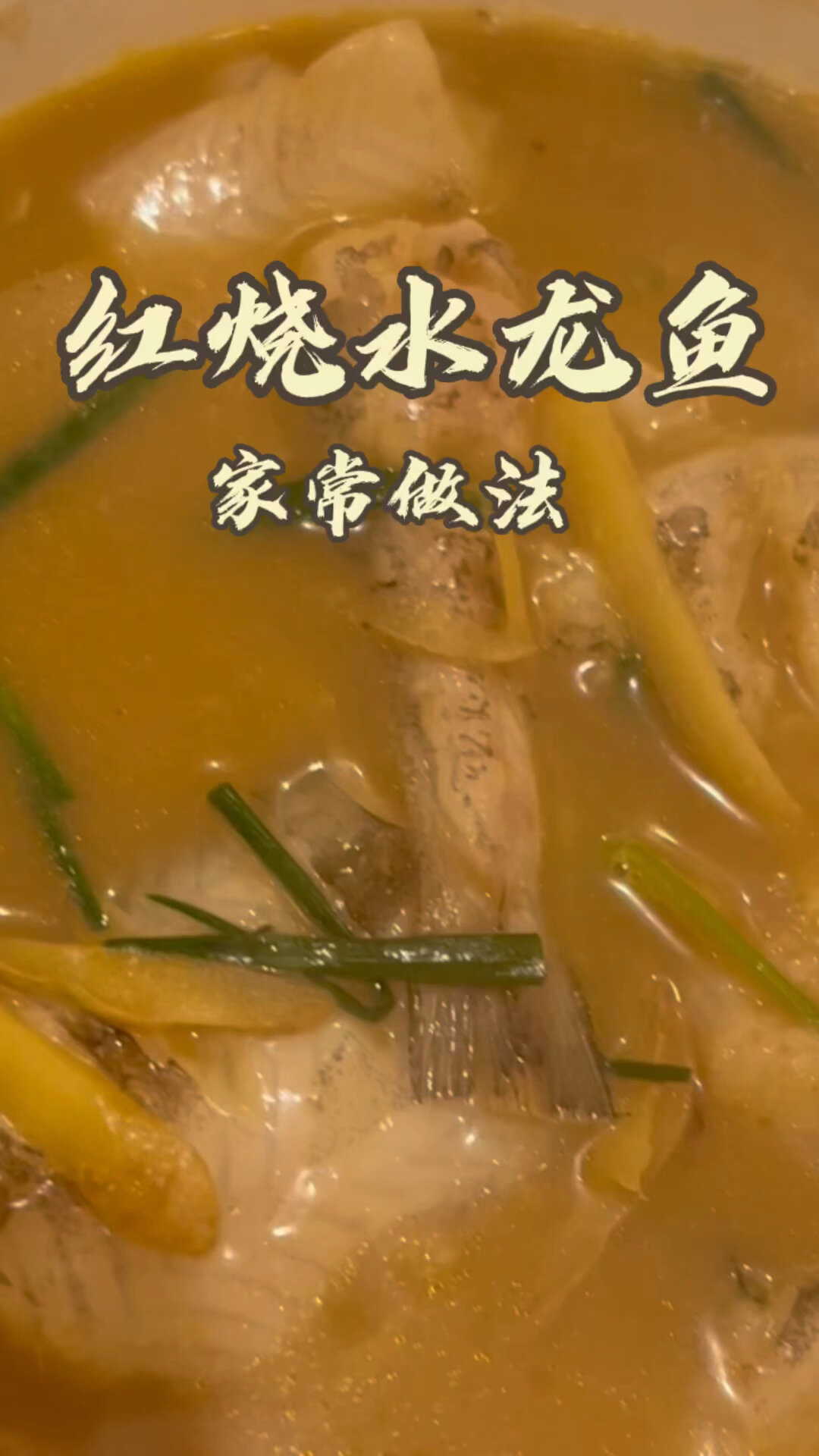 美食篇 · 红烧水龙鱼