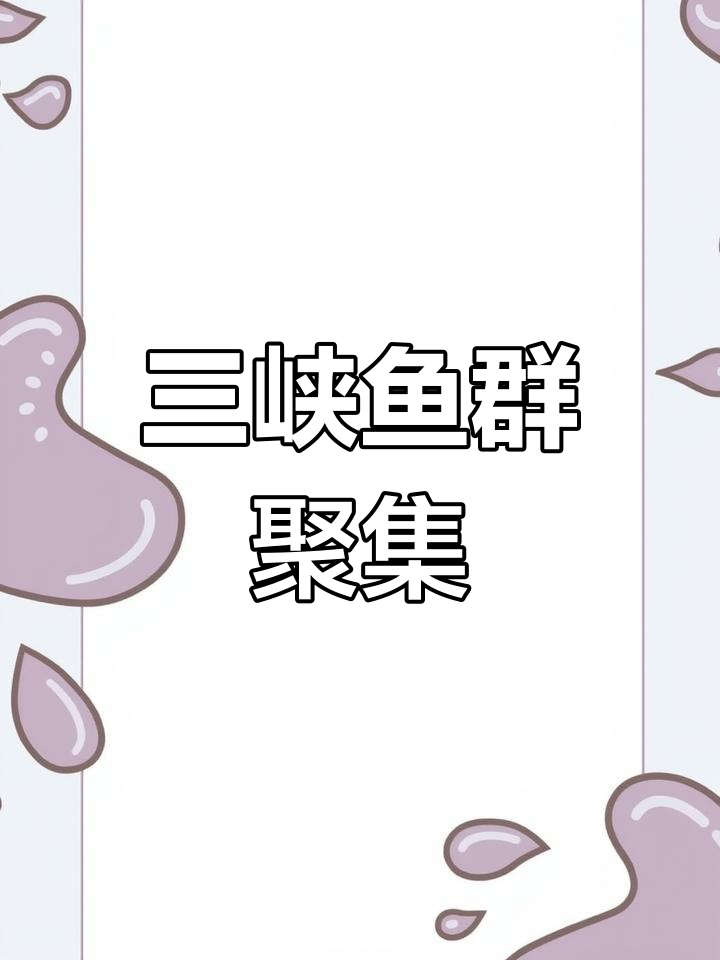 三峡鱼群密集,百斤鳡鱼频繁现身,是否会引发灾难?