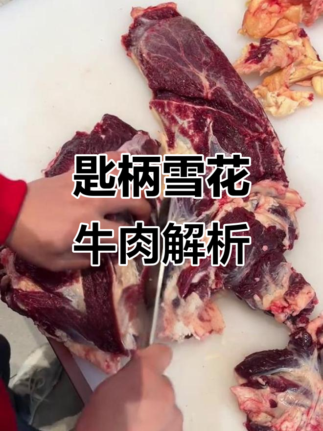 潮汕牛肉火锅匙柄揭秘，最经典部位分解技巧