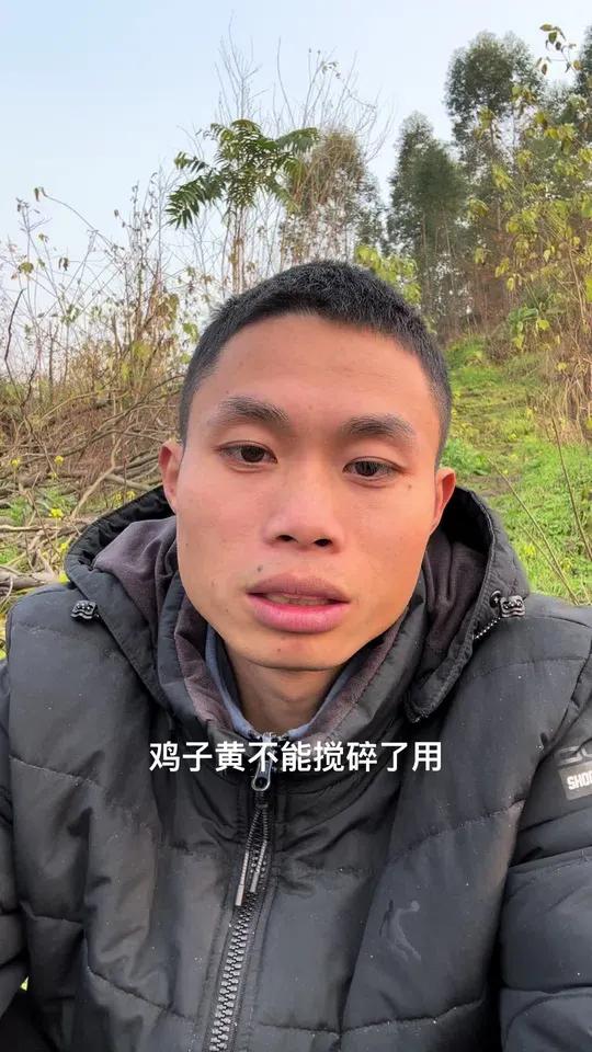 鸡子黄,我是搅碎了的