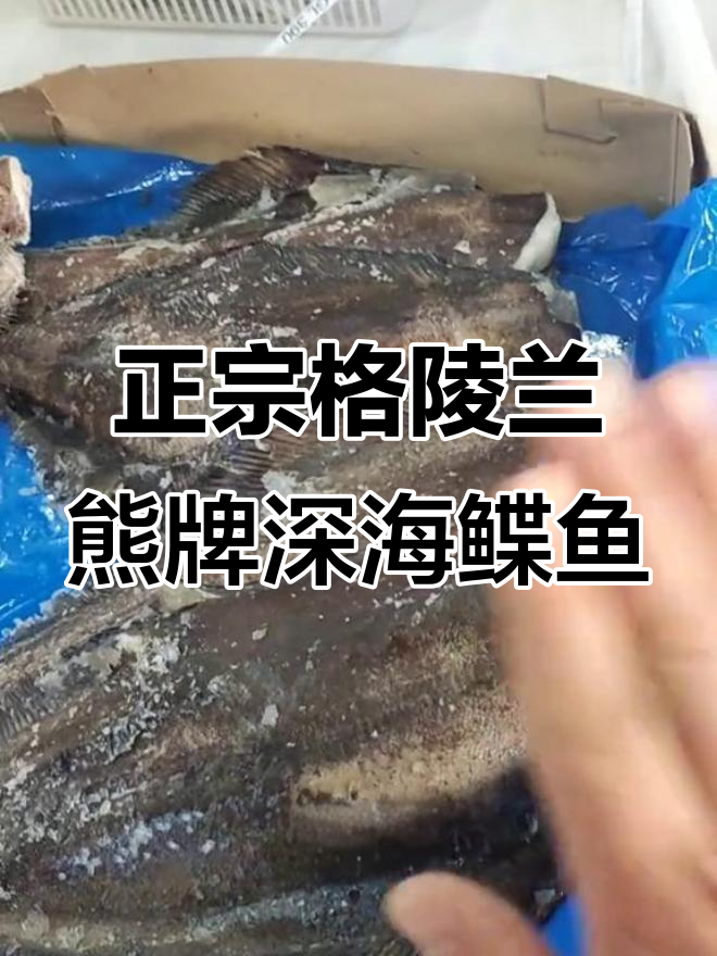 北极深海鲽鱼,无冰衣、去头尾,单条保鲜包装