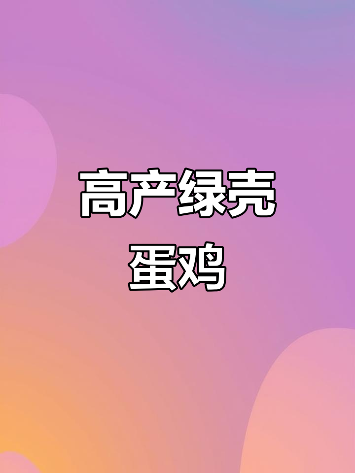 绿壳蛋鸡，产蛋率惊人，五谷杂粮就能养
