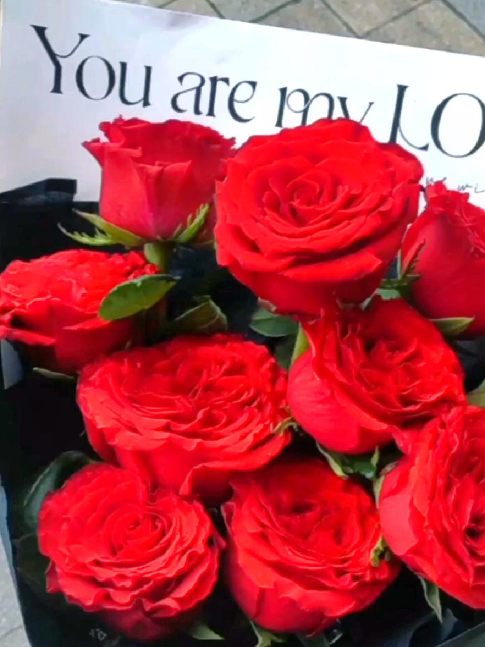 玫瑰 玫瑰花 红玫瑰花束 玫瑰花束