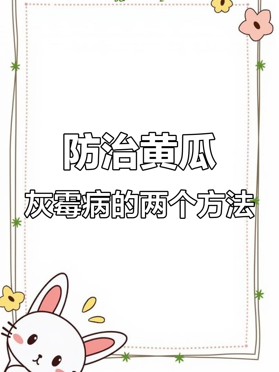黄瓜灰霉病防治技巧:降湿、杀菌两招搞定