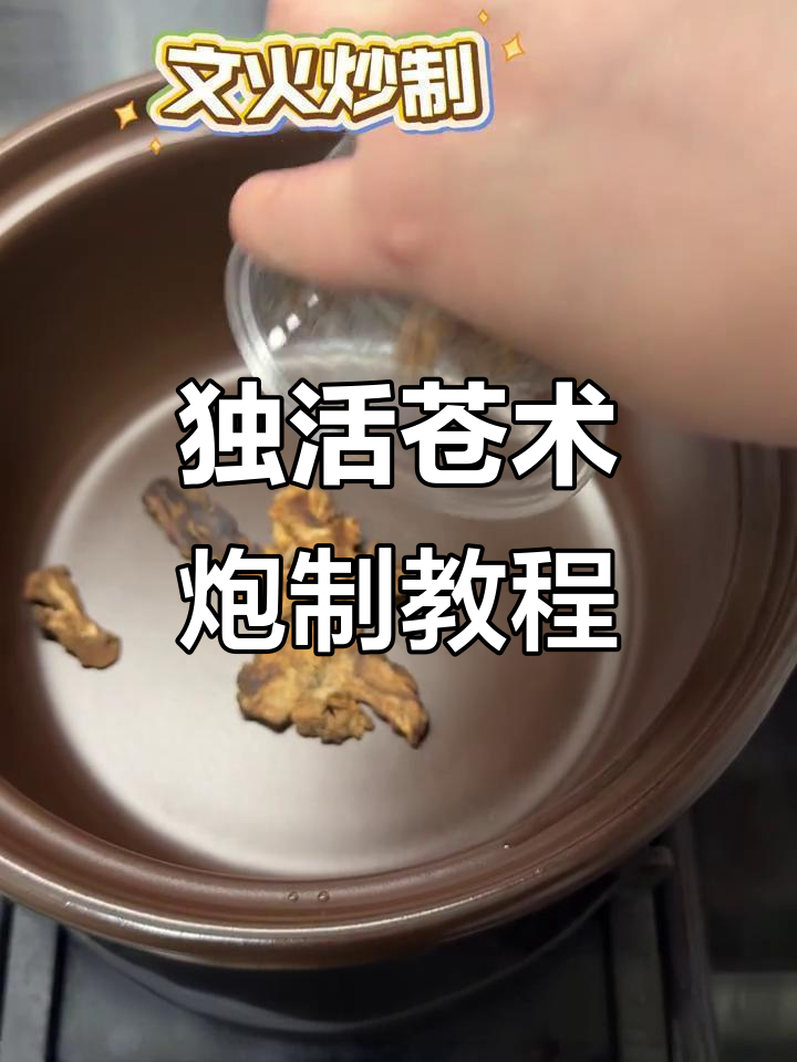 独活与苍术的炮制技巧,黄酒麦麸炒法揭秘