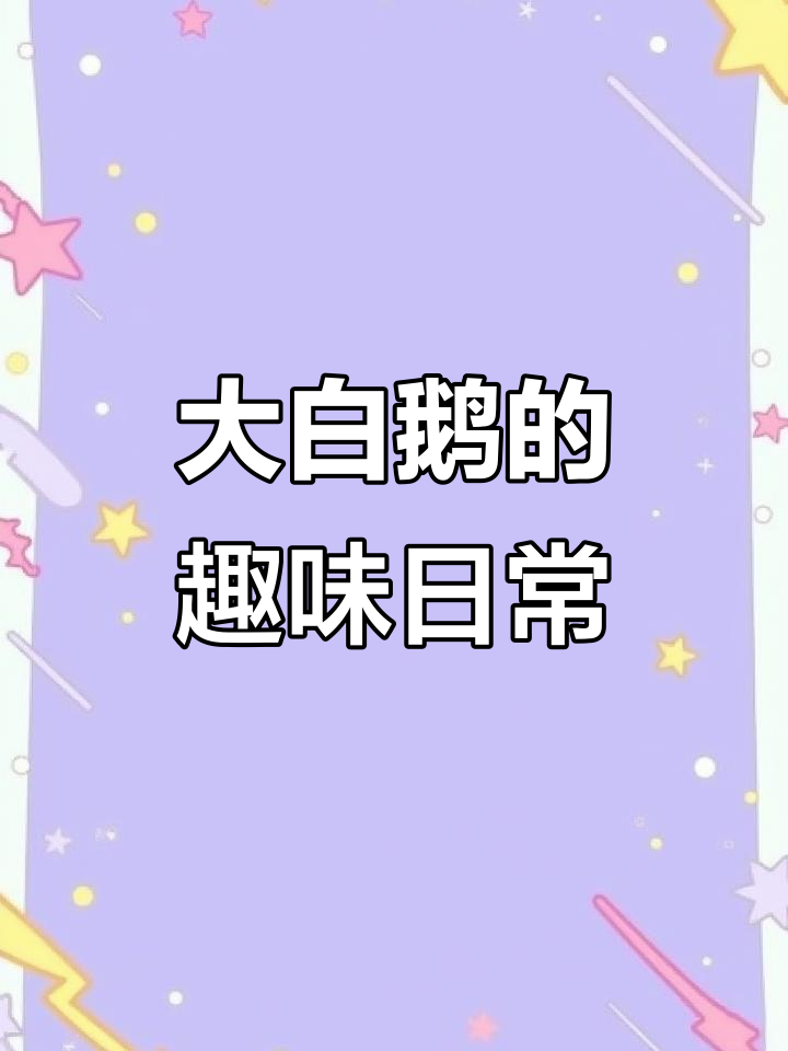 卫生间里的大白鹅,喝水搞笑不停