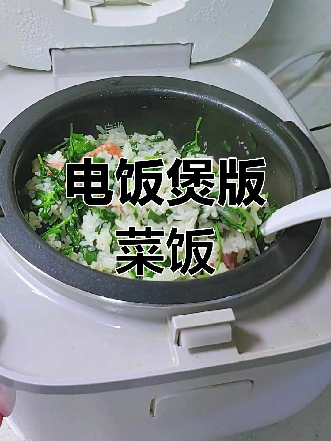 怀念儿时味道,电饭煲也能做菜饭