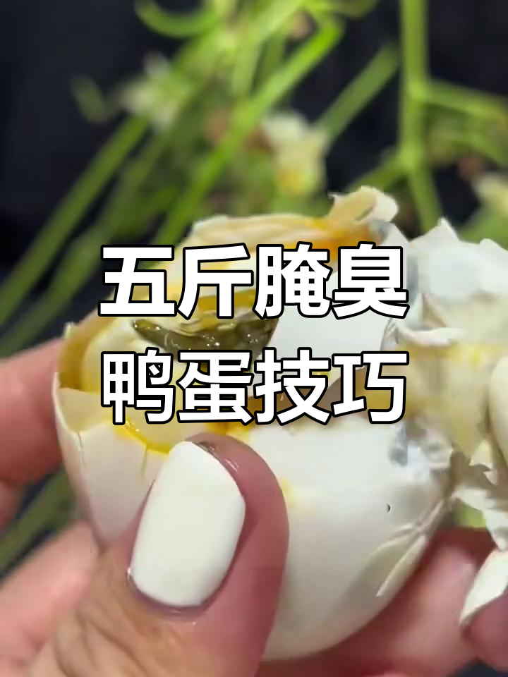 臭鸭蛋的独特腌制法,五斤水配四两盐,花椒熬制秘诀大揭秘