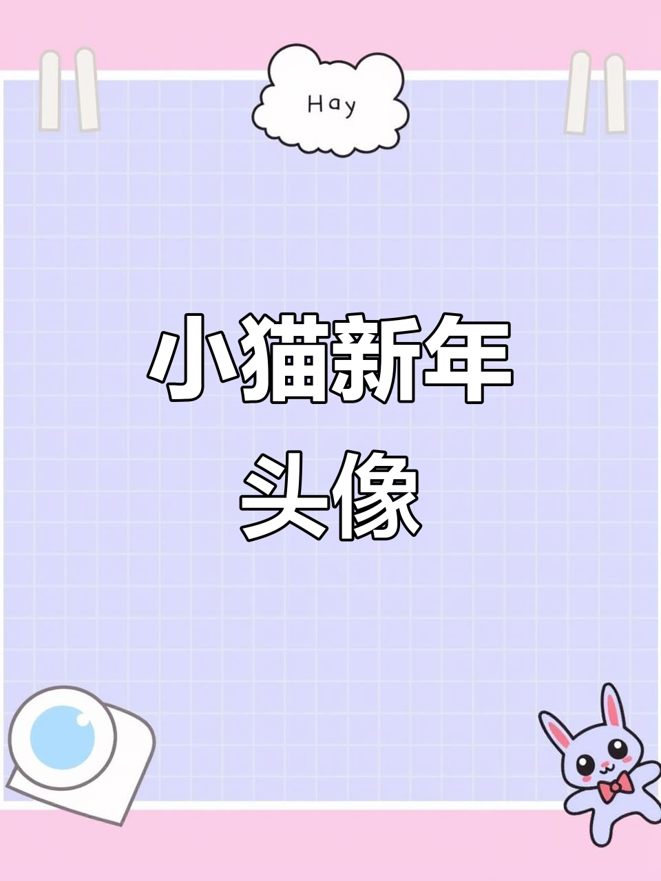 新年头像必备萌宠,小猫陪你跨年!
