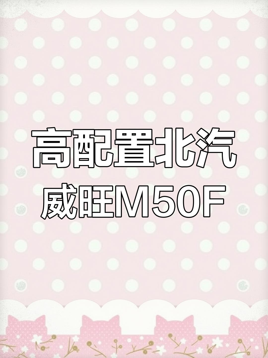 2017年北汽威旺M50F,高配电动座椅,车况如新