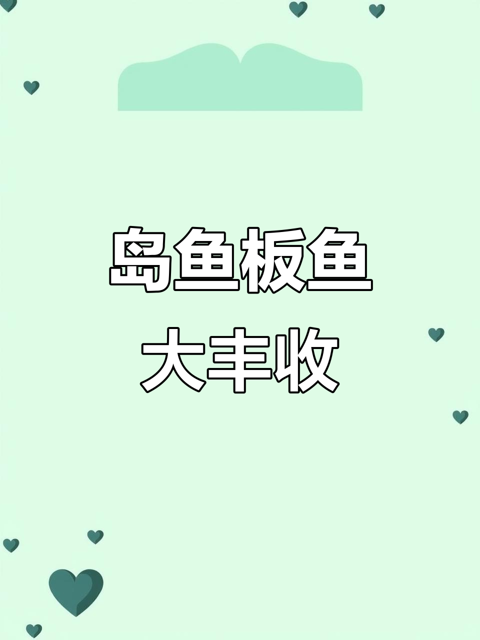 岛鱼和板鱼到货,价格实惠,质量上乘
