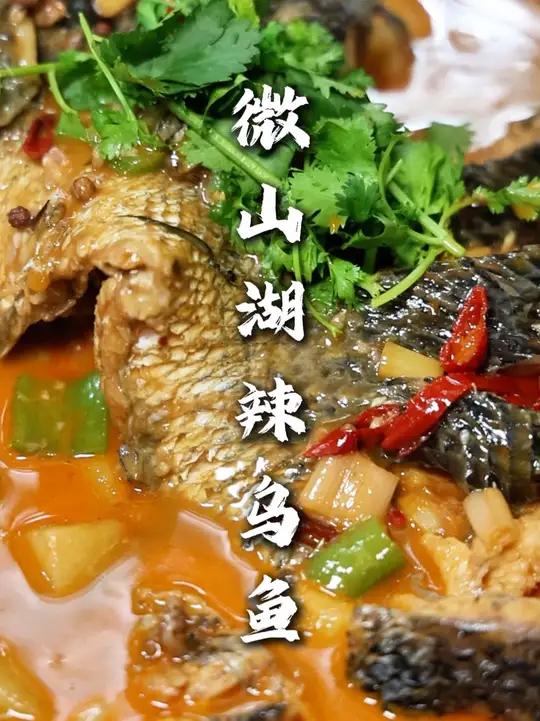辣乌鱼 山东微山湖菜系，烧法和我们当地下料不同，最后出来的味道非常鲜美！在家没事想吃黑鱼，