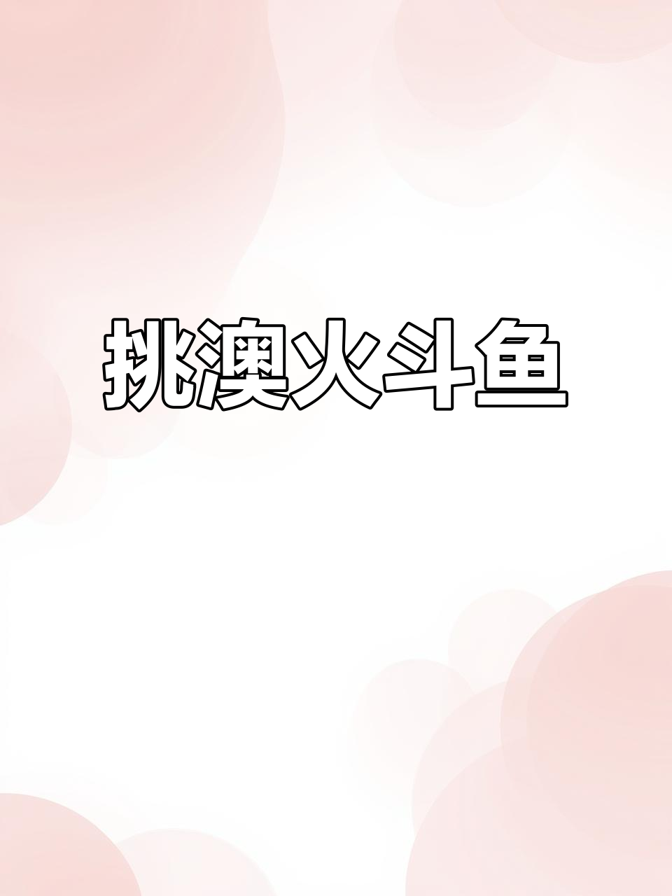 抓澳火斗鱼,挑选大鱼养到室外池