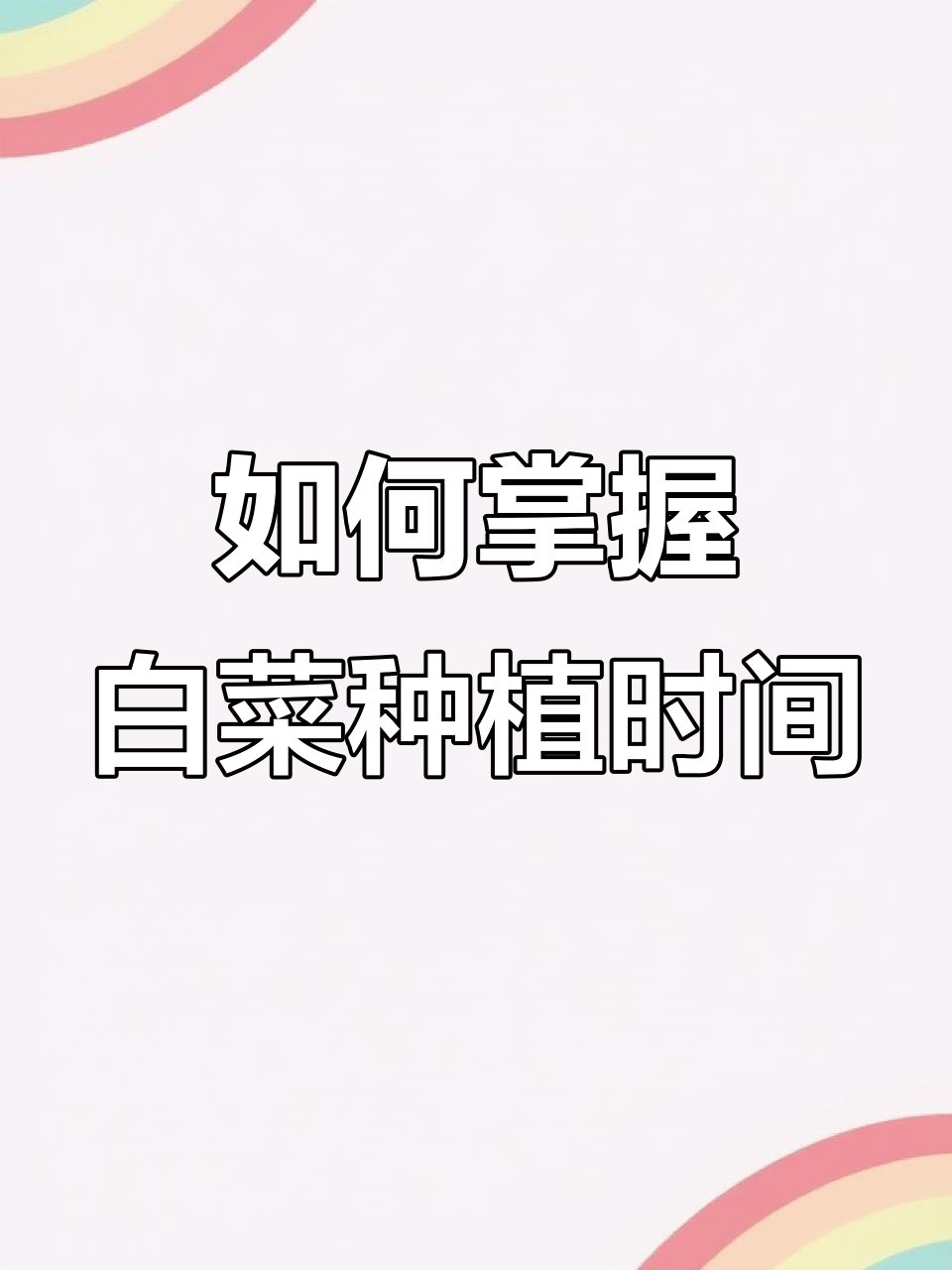 白菜种植的最佳时机,错过就影响产量和品质