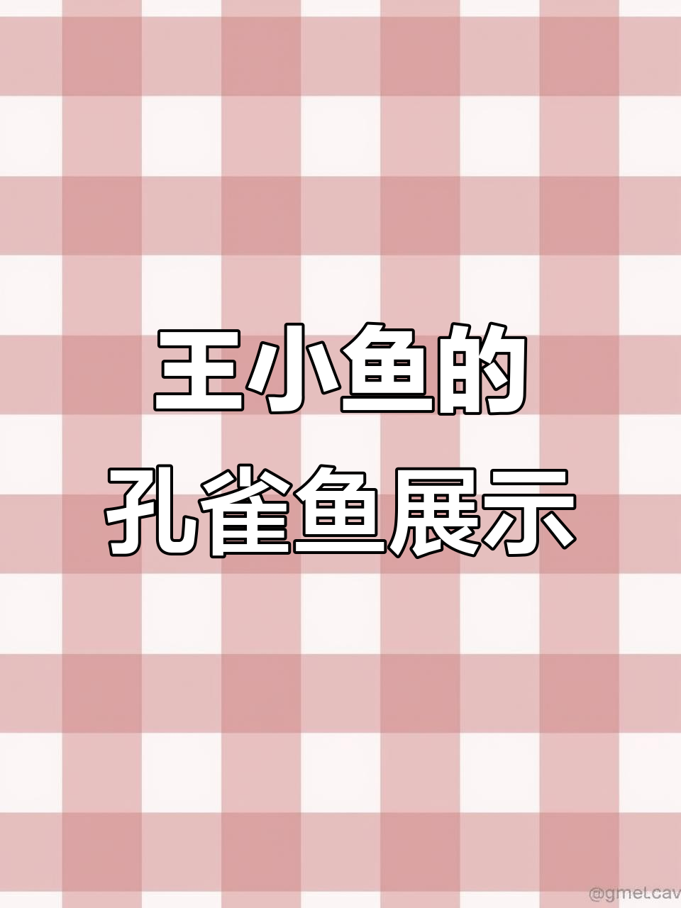 精彩孔雀鱼视频,王小鱼带你领略观赏鱼的魅力