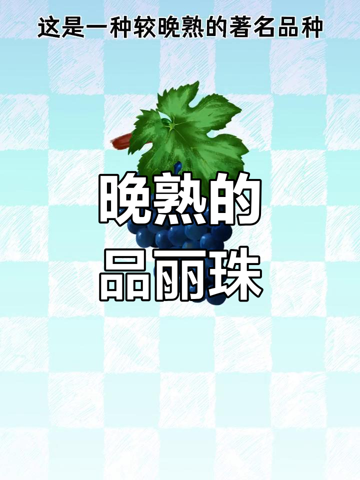 品丽珠:全球知名的葡萄酒品种
