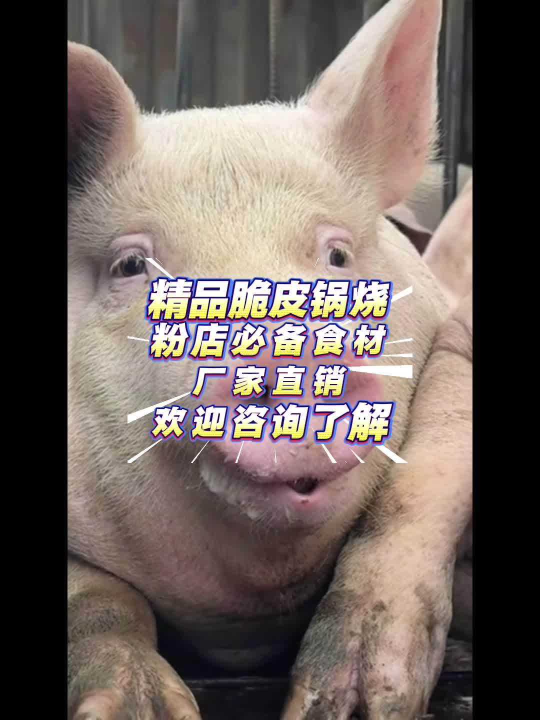 桂林米粉店必备食材,精品脆皮锅烧,欢迎大家咨询批发拿货 创作者扶持计划 桂林米粉 源头实力