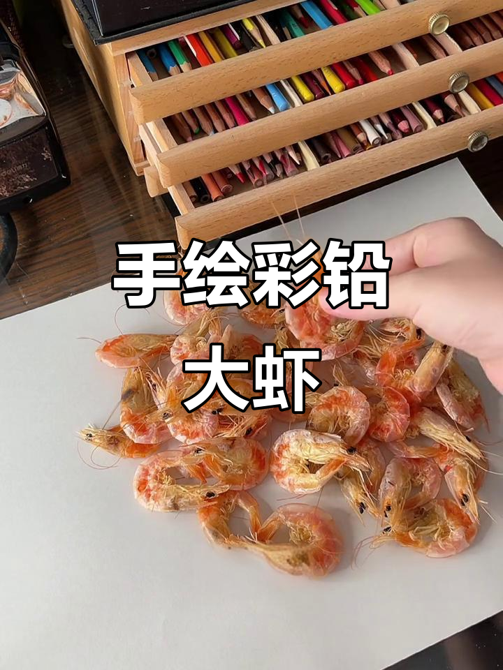 彩铅画虾，细节满满！