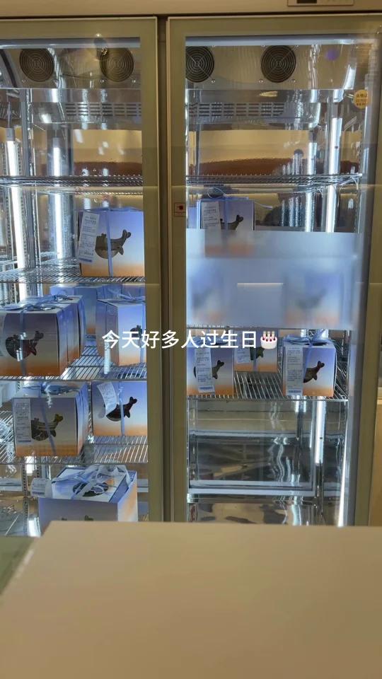 vlog|30+不是青春的句点 是进阶的新篇