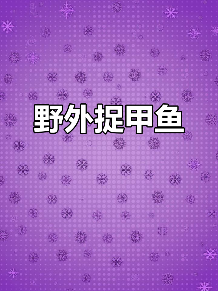甲鱼大抓捕,真实户外逮鱼摸虾挑战