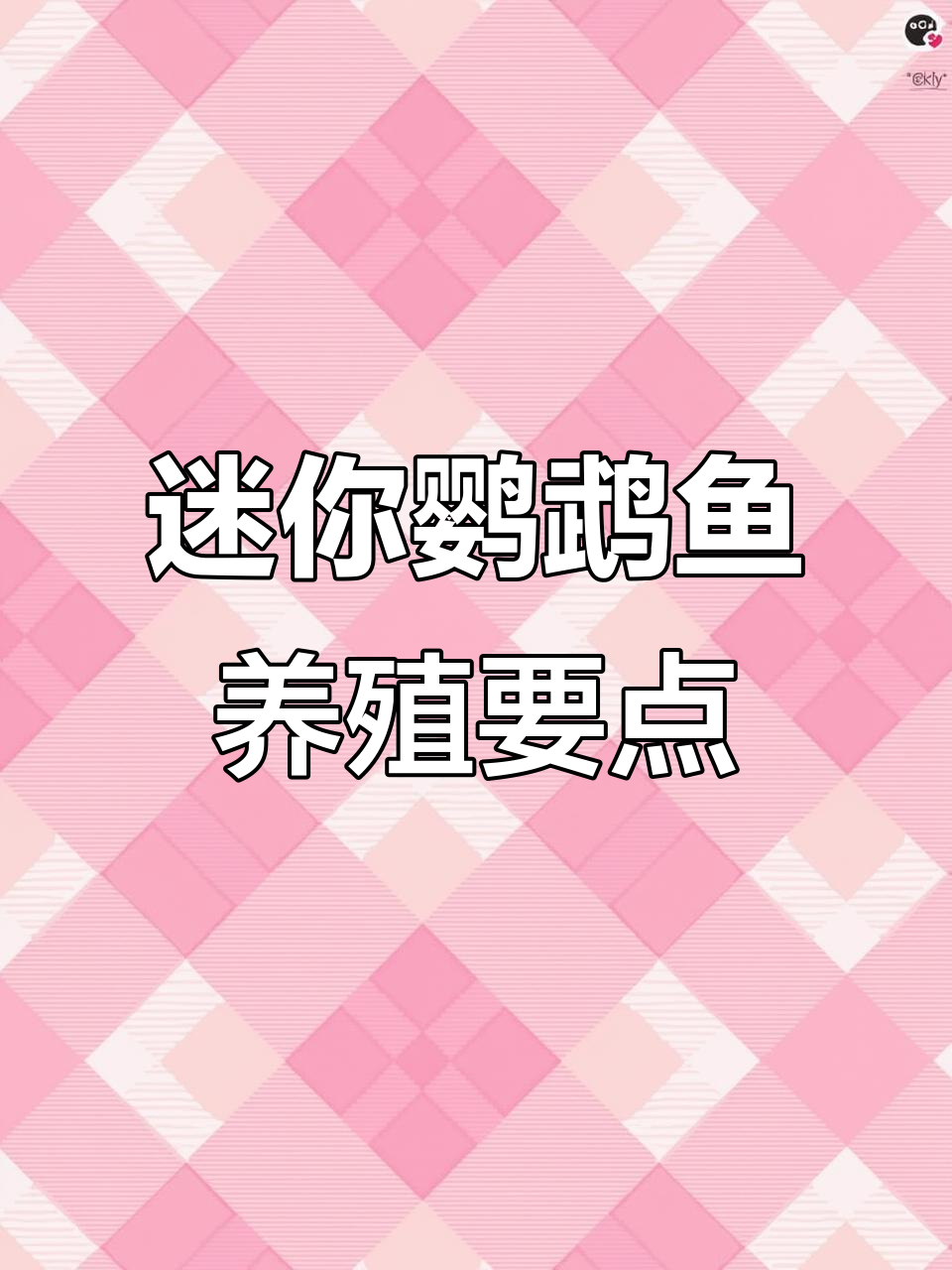 迷你鹦鹉鱼养殖技巧：过滤、温度与卫生管理全攻略