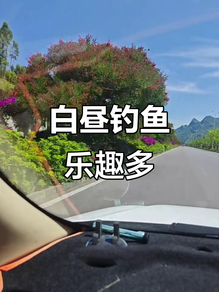 白天浮漂跳舞,夜晚灯光捕鱼,斑点非钓法大揭秘