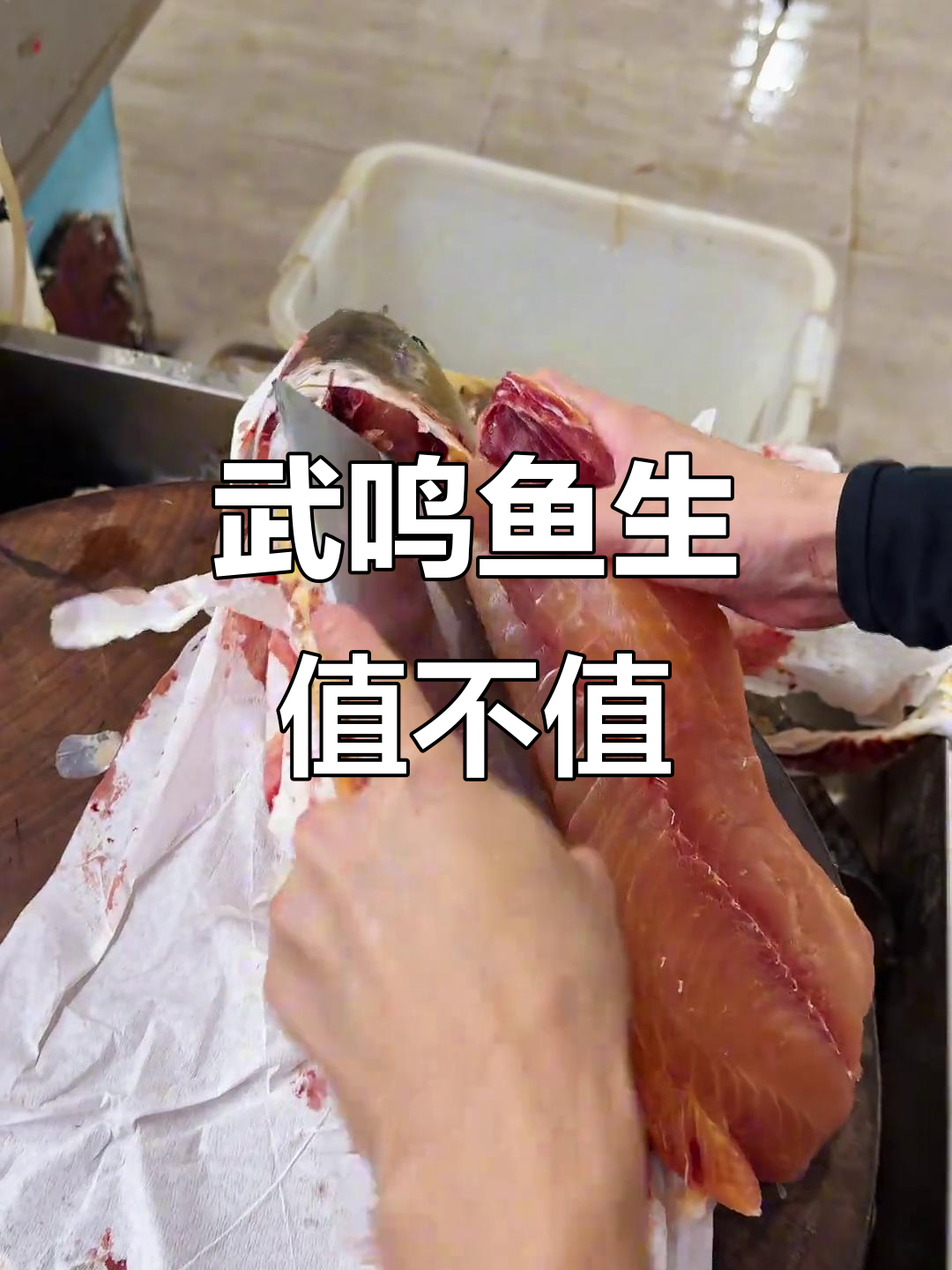 广西武鸣鱼生:35元一斤的鲤鱼肉质如何,值得买吗?