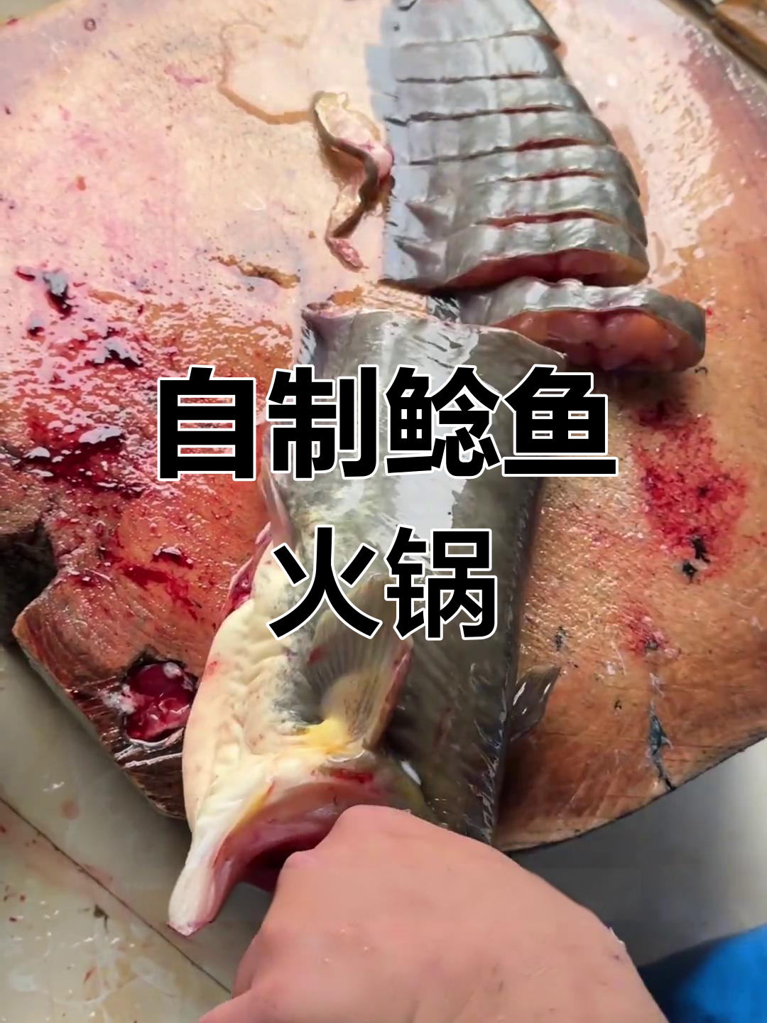 鲶鱼火锅做法大揭秘,酸菜麻辣味十足