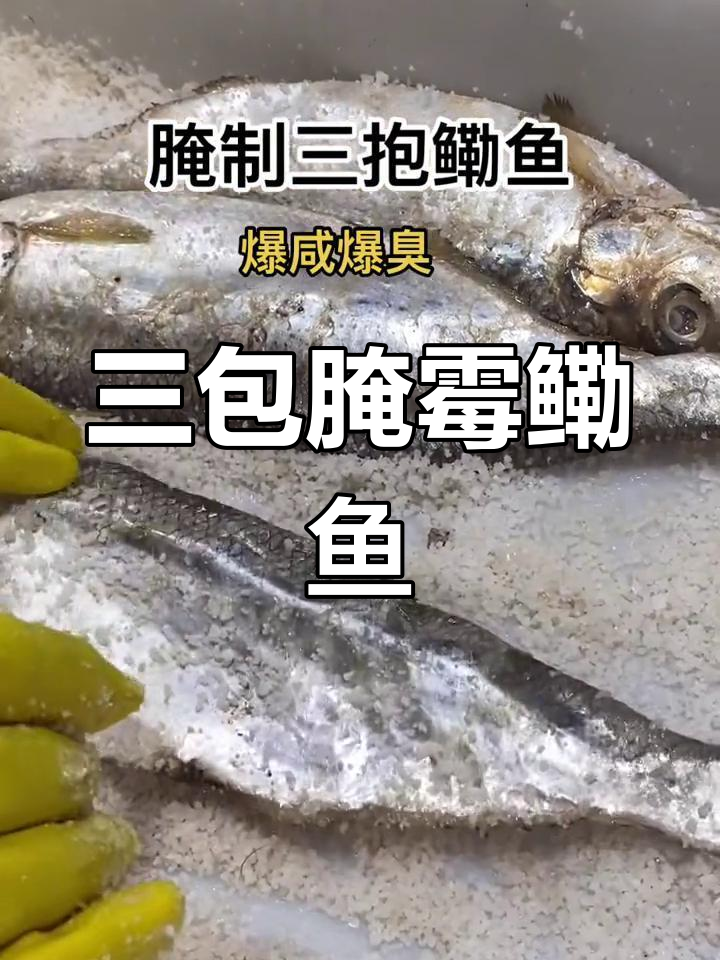 传统腌制三抱鳓鱼,咸香酥脆