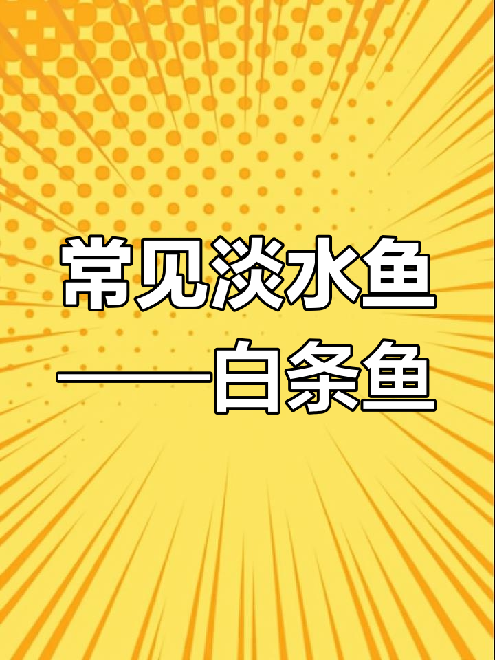 低海拔水域中的白条鱼