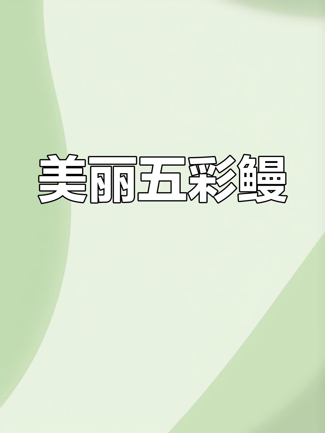 五彩鳗:鳗鱼家族的颜值代表