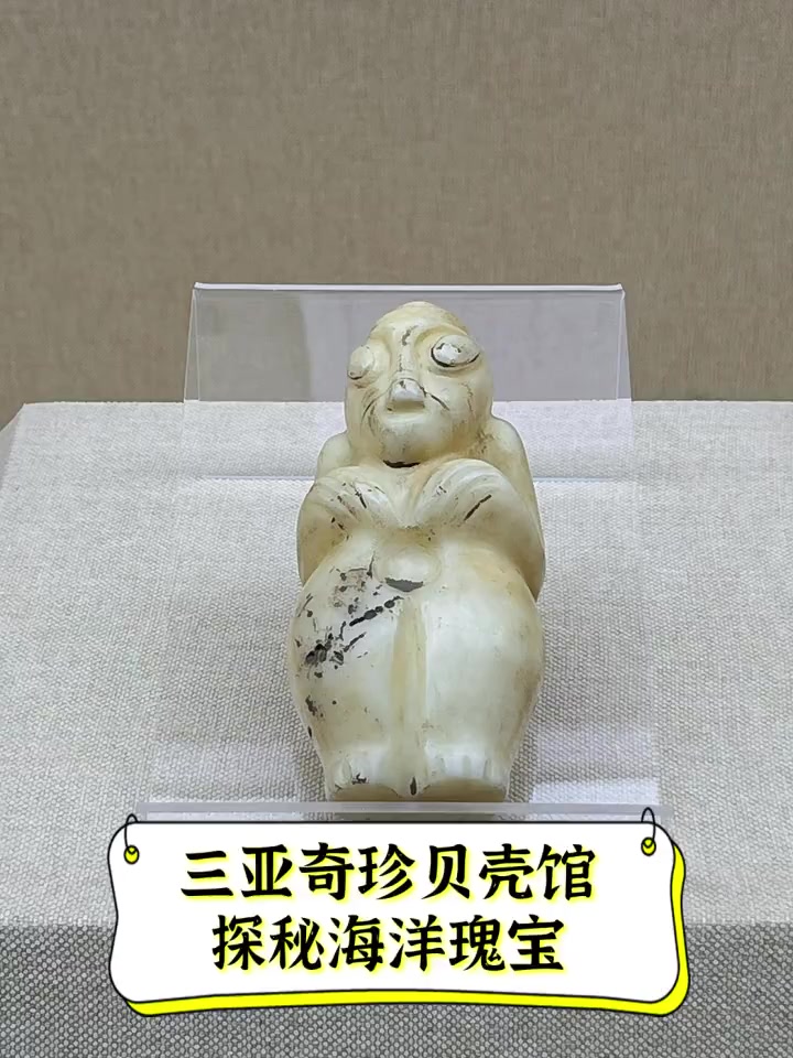 三亚奇珍贝壳馆,探秘海洋瑰宝