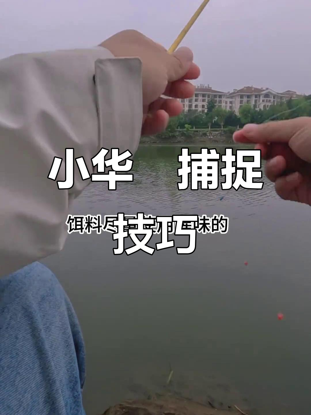 5公分小华鳈,外形似蜜蜂,轻松捕获带回家!