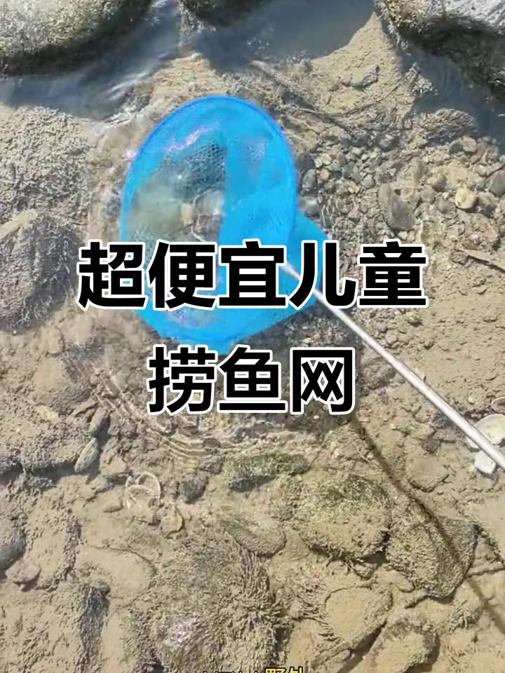 儿童捞鱼网,抓蝴蝶玩水乐趣多