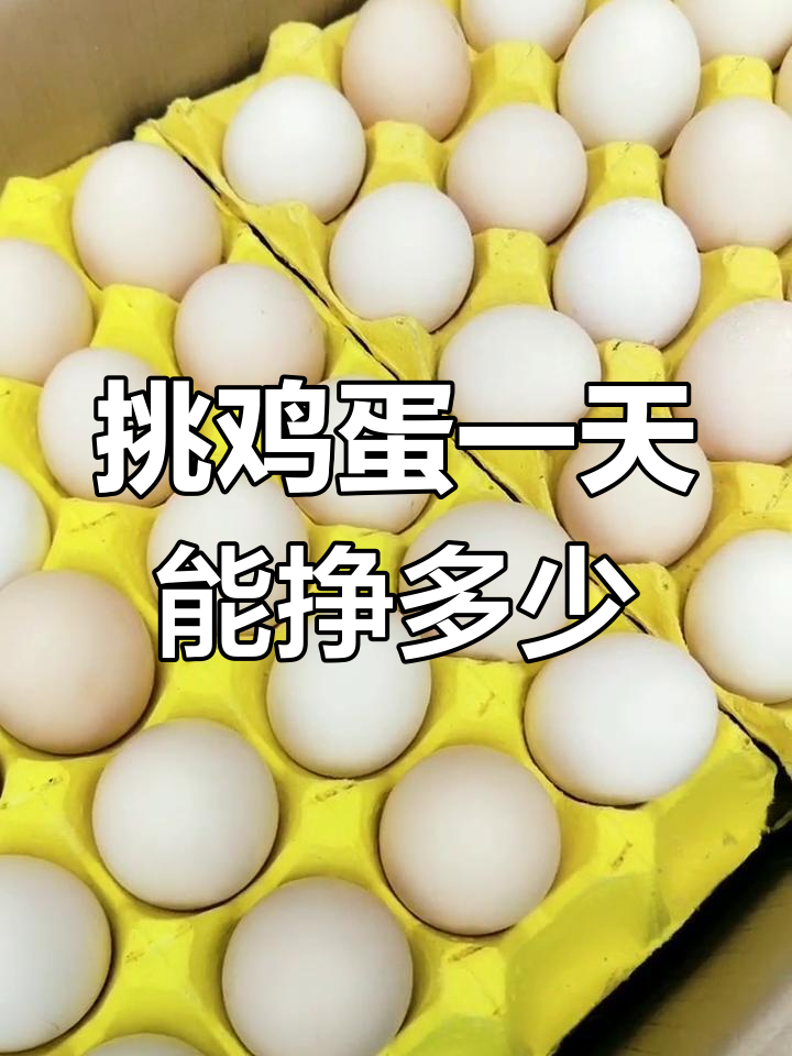 挑鸡蛋赚200元,菜市场卖蛋也能赚钱