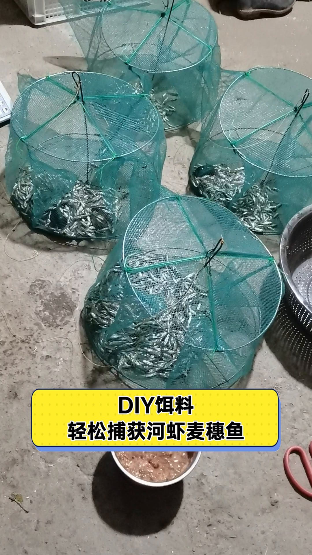 DIY饵料,轻松捕获河虾麦穗鱼