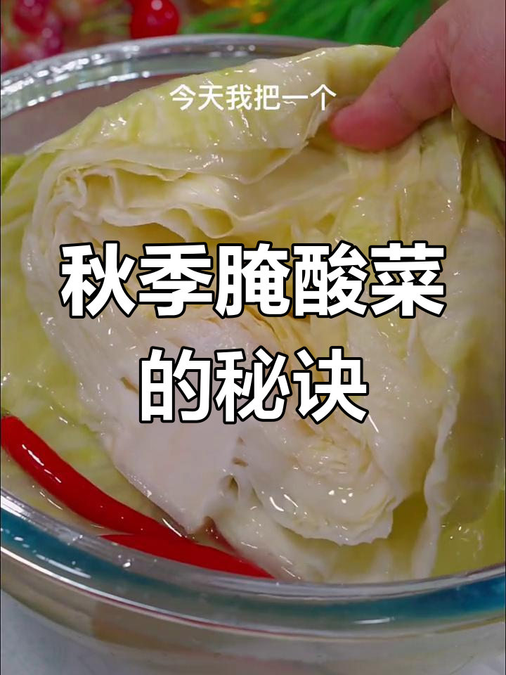 秋天腌酸菜,快速又美味的小窍门!