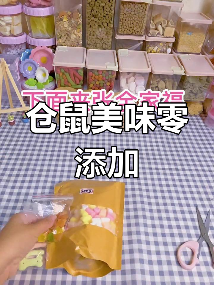 仓鼠零食大集合:棉花糖与雪花酥开箱
