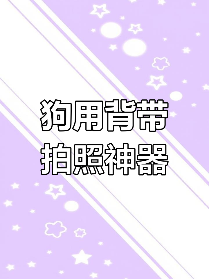 狗狗背带让宠物拍摄更有趣,第一视角体验超赞!