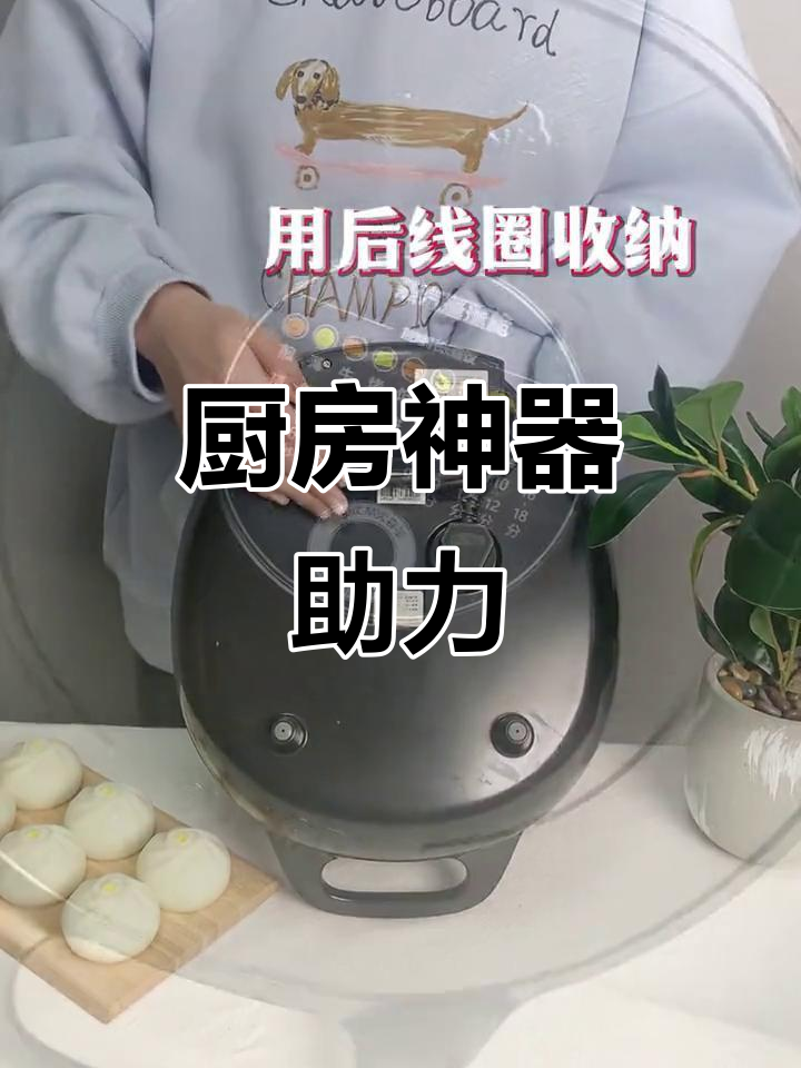 苏泊尔煎烤机,厨房小助手,轻松做出美味佳肴!