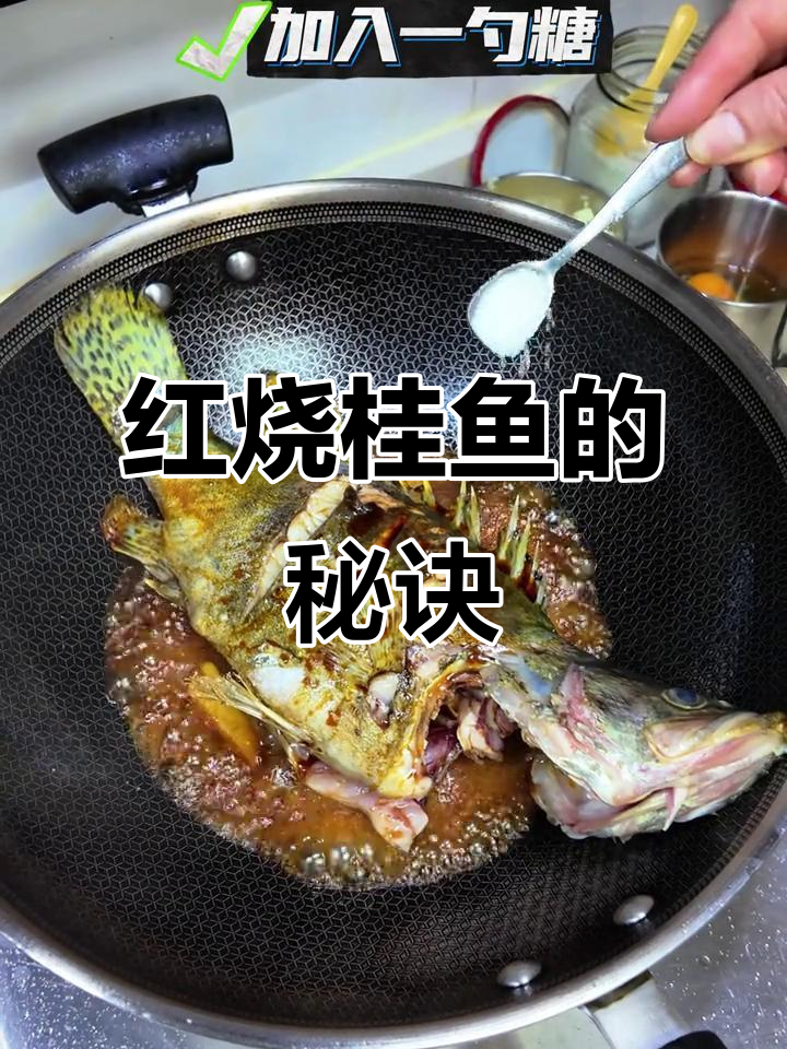 妈妈红烧桂鱼,老爸钓什么都能做美味