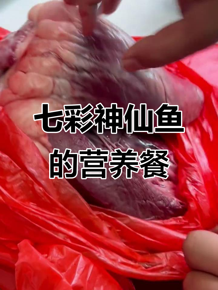 七彩神仙鱼的美味汉堡,牛心虾肉搭配南瓜粉和螺旋藻