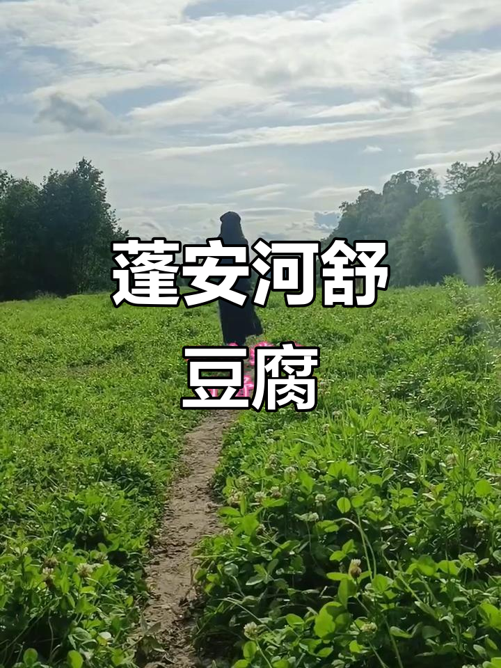 四川蓬安河舒豆腐:口感细腻,历史悠久的传统美食