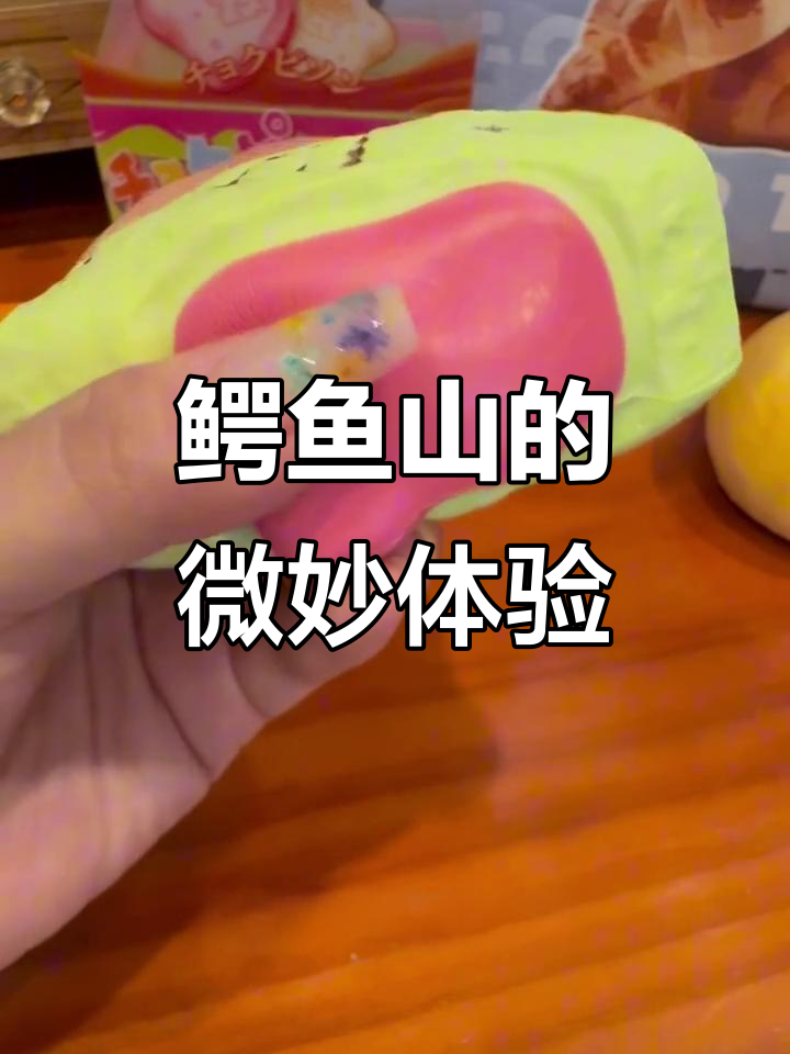 鳄鱼山先生:颜值高但口感偏硬,适合集中力强的宝宝